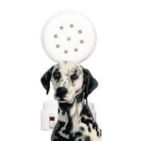 Dog Sound Accessoiries